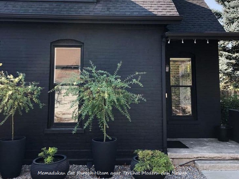 Cat Rumah Hitam